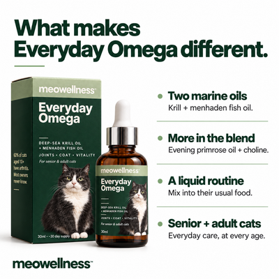 Everyday Omega Drops