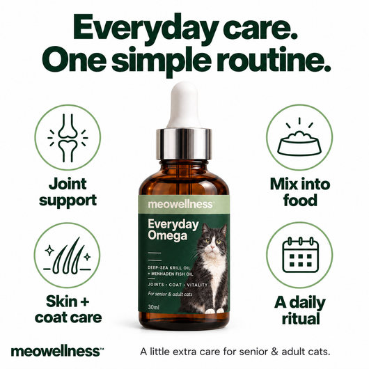 Everyday Omega Drops